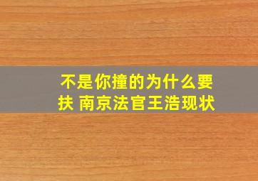 不是你撞的为什么要扶 南京法官王浩现状